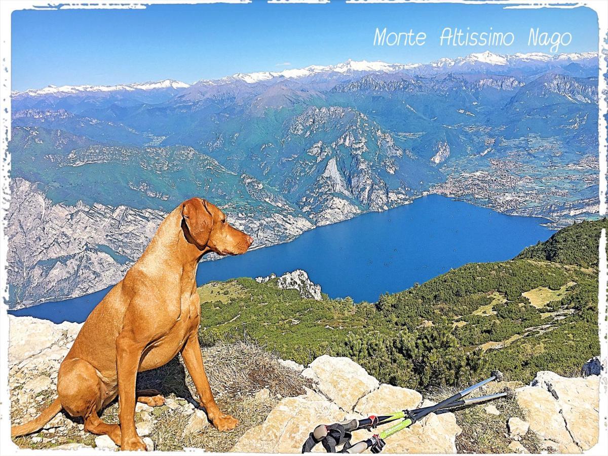 Viewlake Apartment Torbole Sul Garda Екстериор снимка